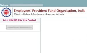 Employee Provident Fund Balance Page