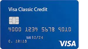 GST Payment by Credit card GST Payment by Credit card